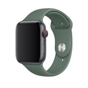 COTEECi Silikónový náramok pre Apple Watch 38/40mm, Zelený